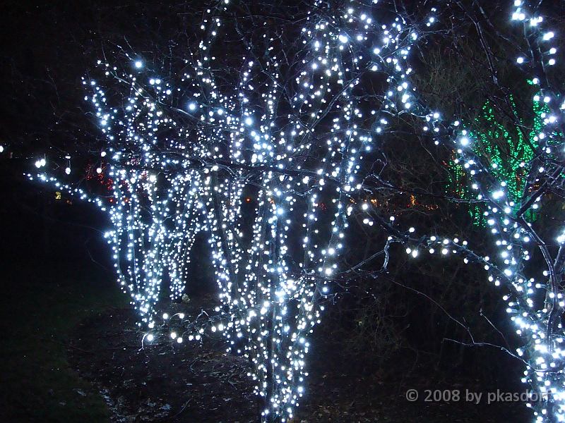 119 Toledo Zoo Light Show [2008 Dec 27].JPG - Scenes from the Toledo Zoo Light Show.